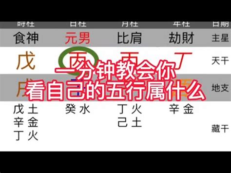 五行屬性怎麼看|五行屬性解惑秘笈，教你輕鬆辨別你的命理本色